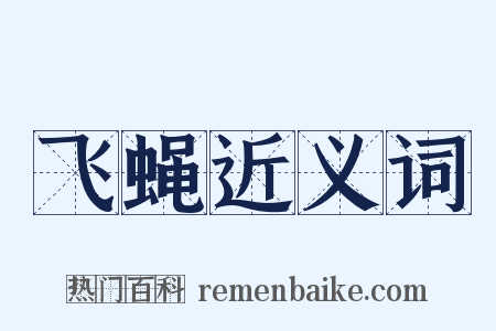 飞蝇近义词是什么意思的图片